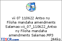 vii 07 110622 Antso ny Filoha mandaha amendments Salamao
